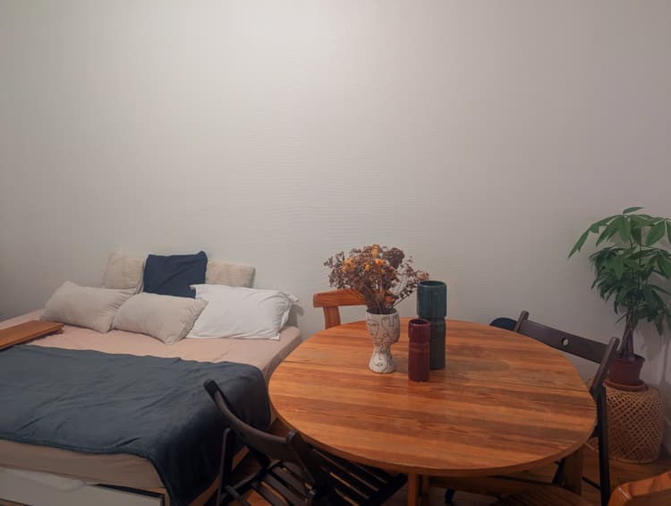 Photo de la location a temps partiel de : Chambre dans appartement luxueux de 56m2 avec balcon à Paris
