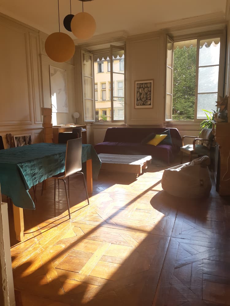Photo de la location a temps partiel de : Loue (ou echange avec Paris) bel appartement T2 66m² - Lyon centre ancien à Lyon 5e