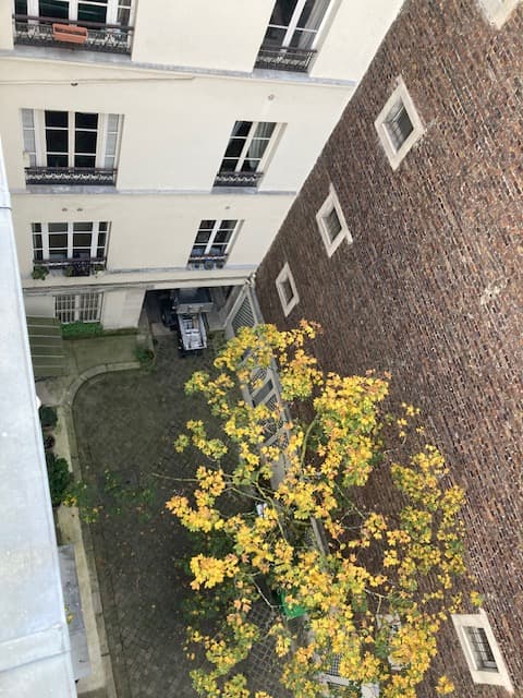 Photo de la location a temps partiel de : Chambre fonctionnelle et lumineuse quartier Saint Georges à Paris